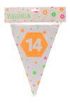 vlaggenlijn-hiep-hiep-hiep-14-jaar-meerkleurig-15-vlaggen-4m