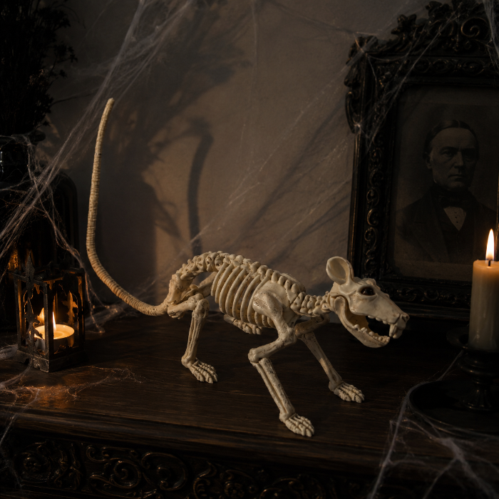 skelet-halloween-rat