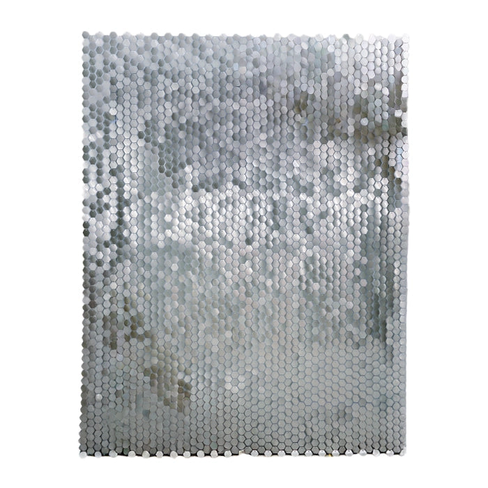 backdrop-zilver-30-x-30-cm-6-stuks