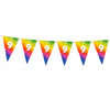 Vlaggenlijn regenboog 9 jaar - 6m (15 vlaggen)