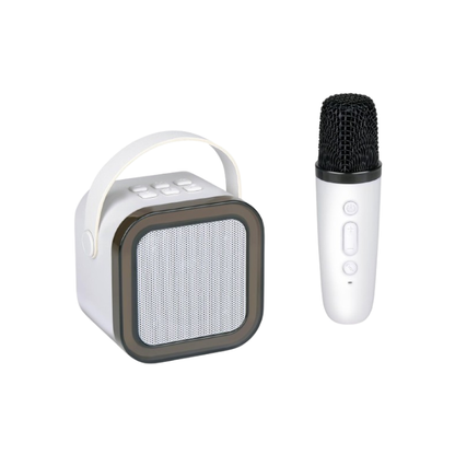 karaoke-set-draadloos-mini