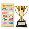 trofee-diy-stickers-meerkleurig-xl
