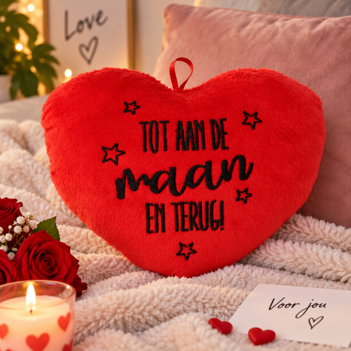 kussen-hart-tot-aan-de-maan-en-terug