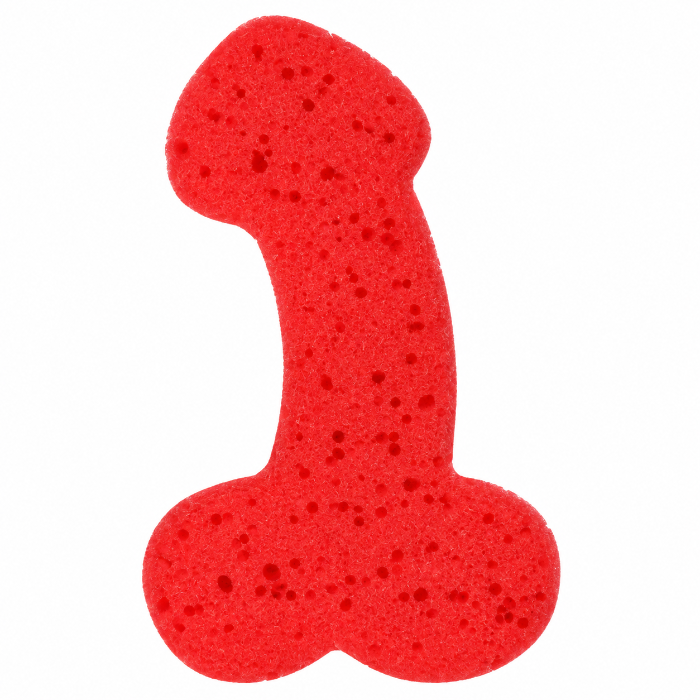 badspons-willy-rood-1