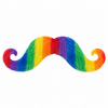 Snor Regenboog