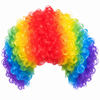 Pruik crazy clown
