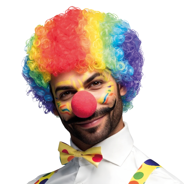 pruik-crazy-clown