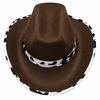Cowboyhoed bruin koe