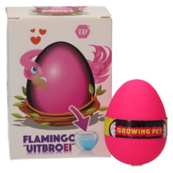 Flamingo uitbroei ei