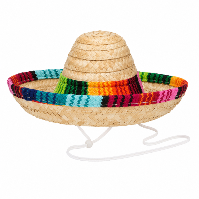 hoed-sombrero-meerkleurig-mini-1