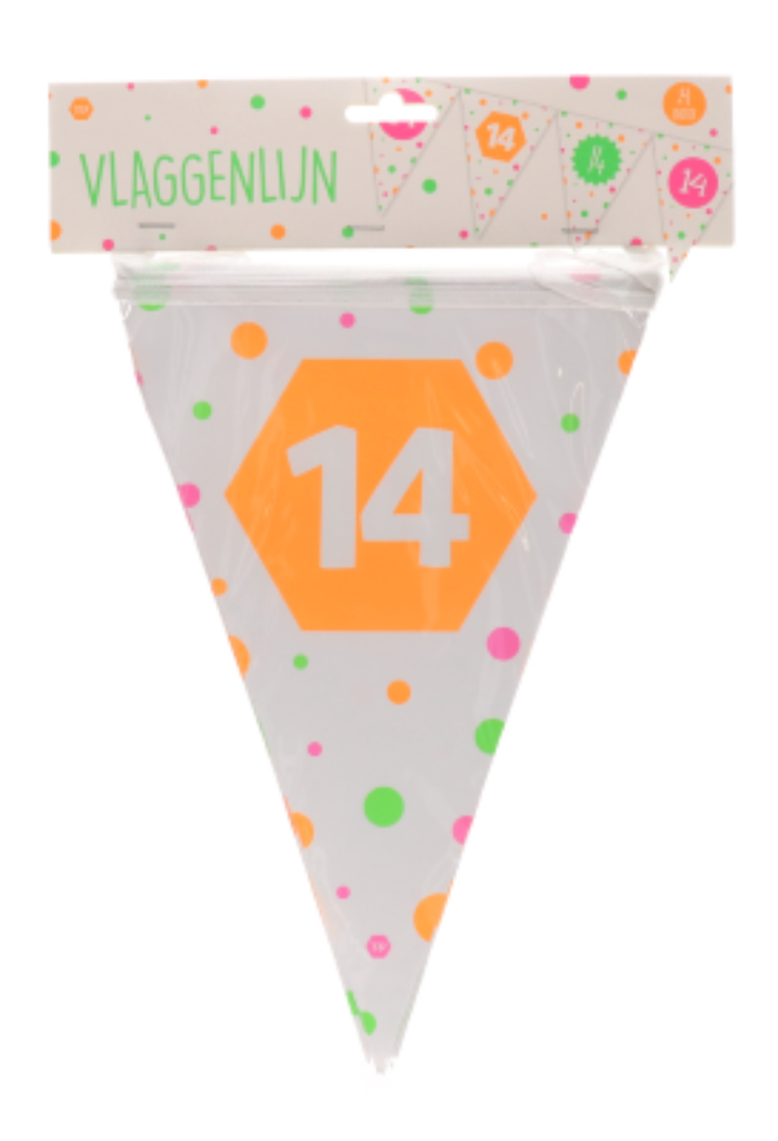  vlaggenlijn-hiep-hiep-hiep-14-jaar-meerkleurig-15-vlaggen-4m