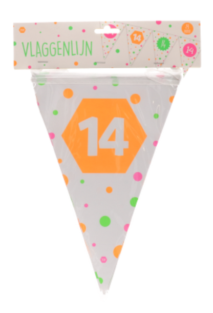  vlaggenlijn-hiep-hiep-hiep-14-jaar-meerkleurig-15-vlaggen-4m