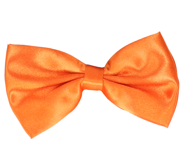 8717928427643_1 Vlinderdas oranje