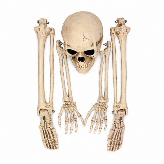 skelet-halloween-5-delig
