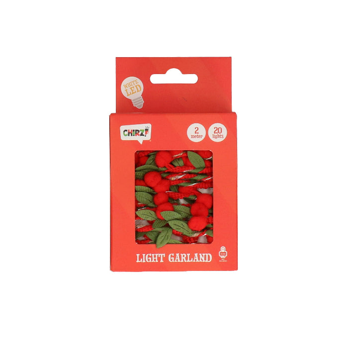 Lichtsnoer Hulst LED 2m