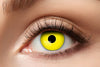 Yellow Crow Eye