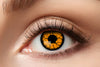 lenzen-week-monster-oranje