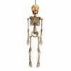 pop-skelet-met-verlichting