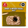 insect-excavation-fossil