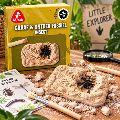 insect-excavation-fossil