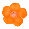 Haarclip bloem oranje