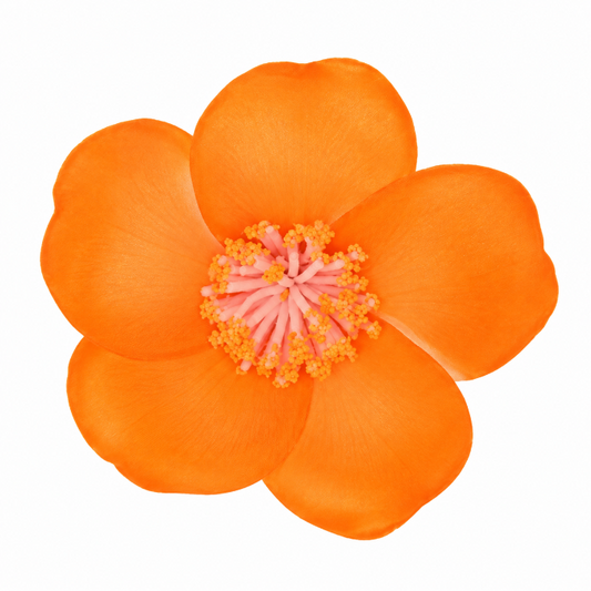 Haarclip bloem oranje