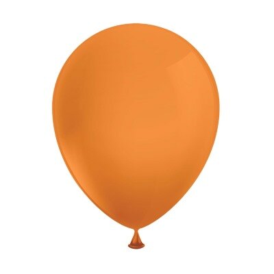Ballonnen - oranje - 30cm - 20 stuks