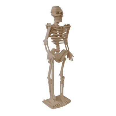 Bouwpakket - skelet - hout