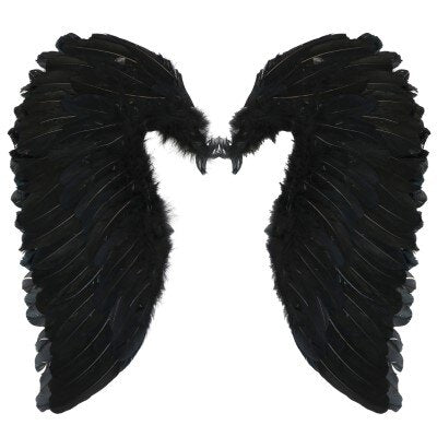 Engelenvleugels - veren - zwart
