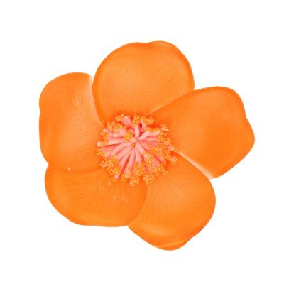 Haarclip - bloem - oranje