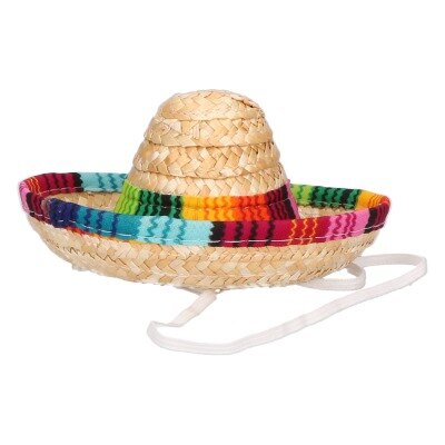 Hoed - sombrero - meerkleurig - mini