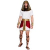 Kostuum - Tutankhamun - meerkleurig - heren - maat M/L