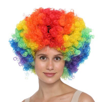 Pruik - regenboog - afro