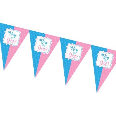 Vlaggenlijn - Boy or girl - babyshower - roze/blauw - 4m