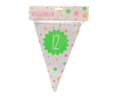 Vlaggenlijn - Hiep hiep - 12 jaar - meerkleurig - 15 vlaggen - 4m