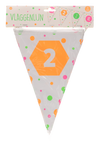 Vlaggenlijn - Hiep hiep - 2 jaar - meerkleurig - 15 vlaggen - 4m