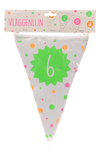Vlaggenlijn - Hiep hiep - 6 jaar - meerkleurig - 15 vlaggen - 4m