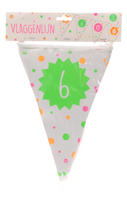 Vlaggenlijn - Hiep hiep - 6 jaar - meerkleurig - 15 vlaggen - 4m