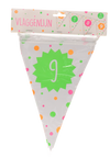 Vlaggenlijn - Hiep hiep - 9 jaar - meerkleurig - 15 vlaggen - 4m