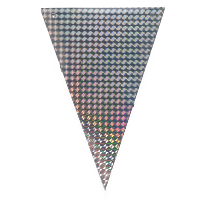 Vlaggenlijn - holografisch - zilver - 5m