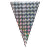 Vlaggenlijn - holografisch - zilver - 5m