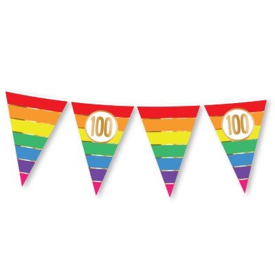 Vlaggenlijn - regenboog - 100 jaar - 15 vlaggen - 5m