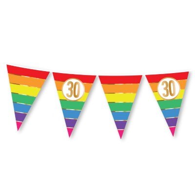 Vlaggenlijn - regenboog - 30 jaar - 15 vlaggen - 5m