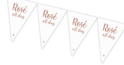 Vlaggenlijn - Rosé all day - roségoud - 15 vlaggen - 4m