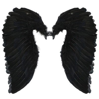 Vleugels - engel - veren - zwart